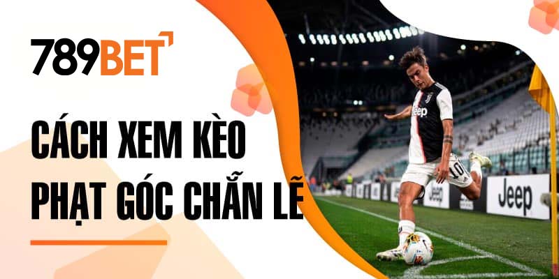Cách xem kèo phạt góc chẵn lẻ Cách xem kèo phạt góc chẵn lẻ