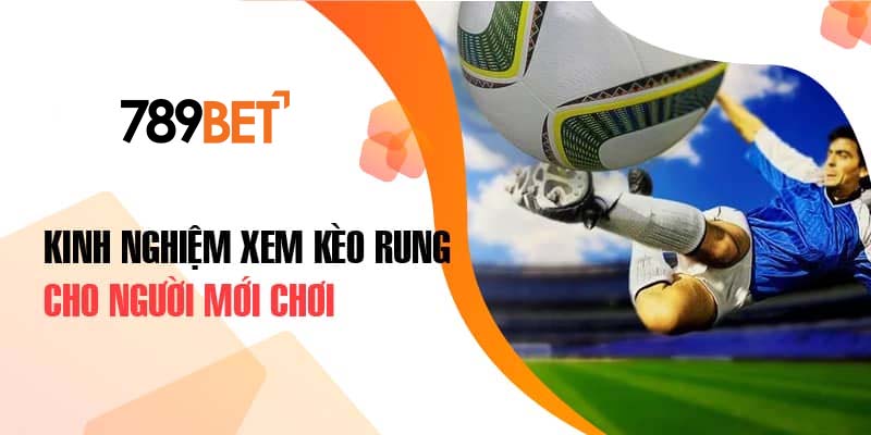 Kinh nghiệm xem kèo rung cho người mới chơi Kinh nghiệm xem kèo rung cho người mới chơi